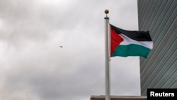 بیرق فلسطین 