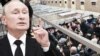 Недоработка Путина: "Ещё не все в тюрьме!"