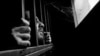 Боданечу набахтехь малх гаре сатуьйсуш хене бовлуш бу Оьрсийчура набахташкахь тIамехь дакъалацарна, чубоьхкина болу нохчийн тутмакхаш.