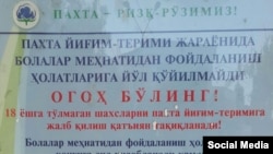 Предупредительные листовки о недопустимости использования принудительного труда и эксплуатации взрослых и детей, подготовленные министерством труда и Федерацией профсоюзов Узбекистана.
