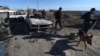 Полицейские со служебной собакой рядом со сгоревшими автомобилями в селе Булар-батыр на следующий день после межэтнических столкновений. Жамбылская область, 8 февраля 2020 года.