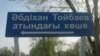 Алматы облысы, Талғар ауданы, Туғанбай ауылындағы Әбдіхан Тойбаев атындағы көше. 12 сәуір 2013 жыл.
