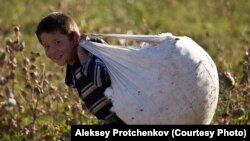 Узбекский школьник на хлопковом поле.
