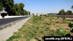 Автомобильная дорога в Кибрайском районе Ташкентской области. 