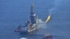 США: вилив нафти – загроза тваринному світові